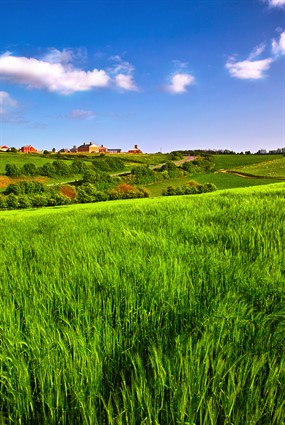 田园风景图片下载